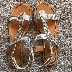 Gladiator sandal
